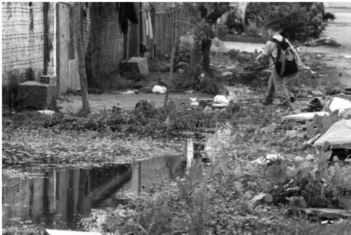 Una imagen permanente en las calles inundadas de Dunas