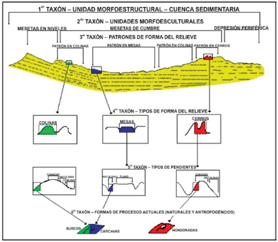 Representación esquemática de las unidades taxonómicas