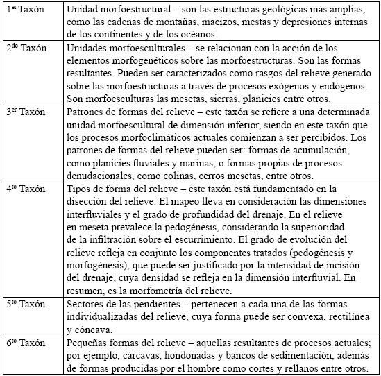 Representación esquemática de las unidades taxonómicas propuestas
por Ross (1992)
