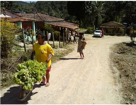 Agricultoras transportando hortaliças na CRFP, as quais posteriormente serão vendidas na cidade de Ipiaú