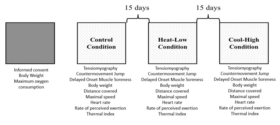 Schematic study design shows the tests performed in the three different conditions with 15 days of recovery.