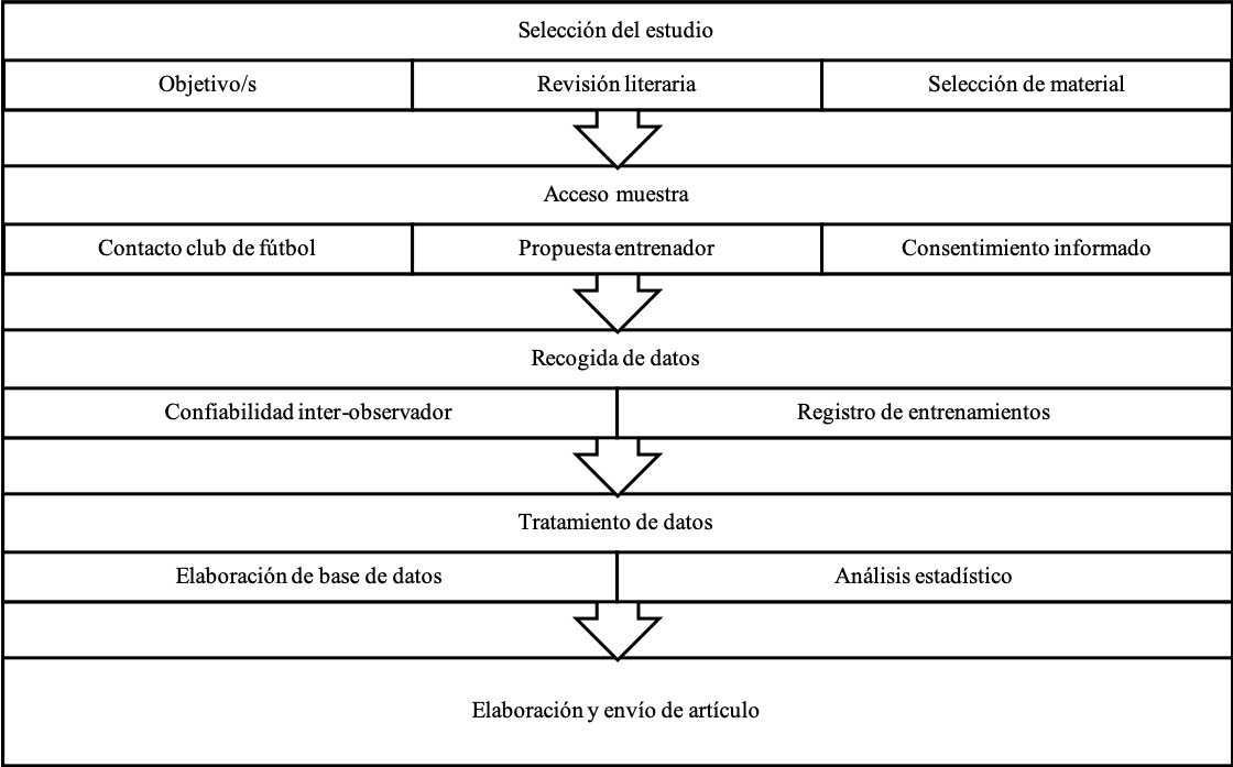 Figura 1. Fases del procedimiento del estudio