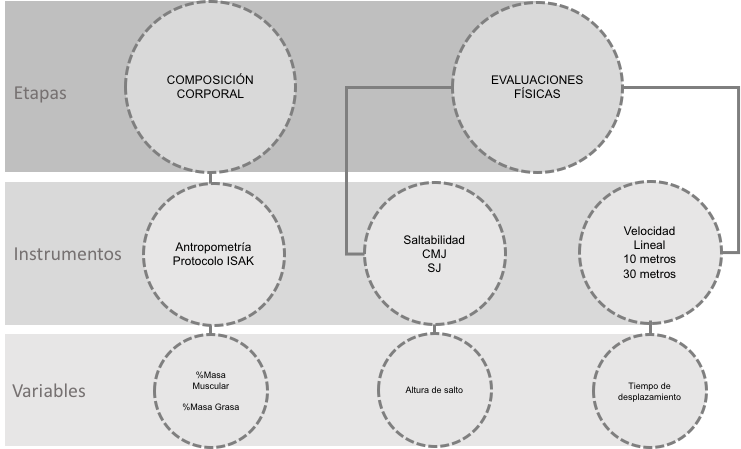Distribución de evaluaciones de composición corporal y evaluaciones físicas