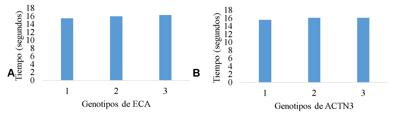 Comparación de los polimorfismos del gen ECA (A) y ACTN3 (B) con el test de agilidad de Illinois. Fig A (1: DD 2:ID 3:II) Fig B (1:RR 2:RX 3:XX)