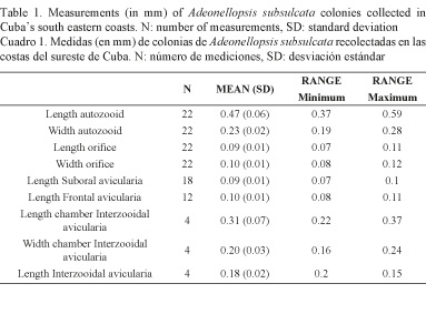 Table%201_Measurements%20Adeonellopsis%20subsulcata%20colonies%20collected%20in%20Cubas%20sth%20eastern%20coasts.jpg