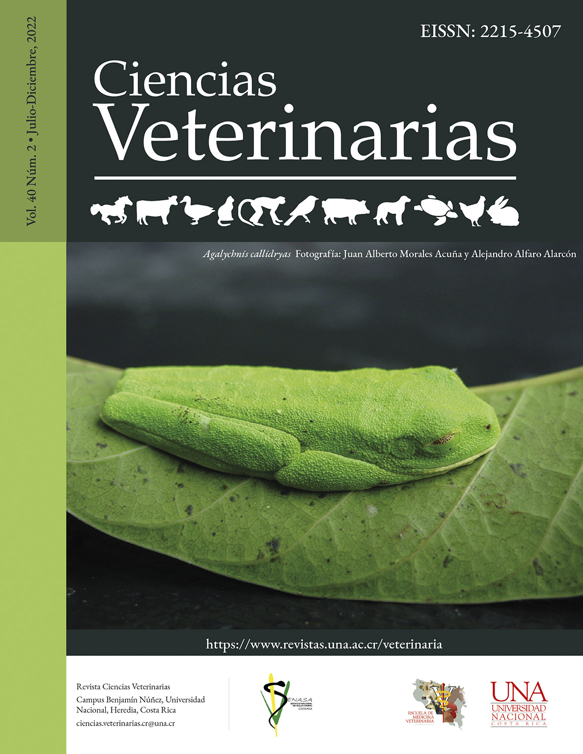 					View Vol. 40 No. 2 (2022): Ciencias Veterinarias (July-December)
				
