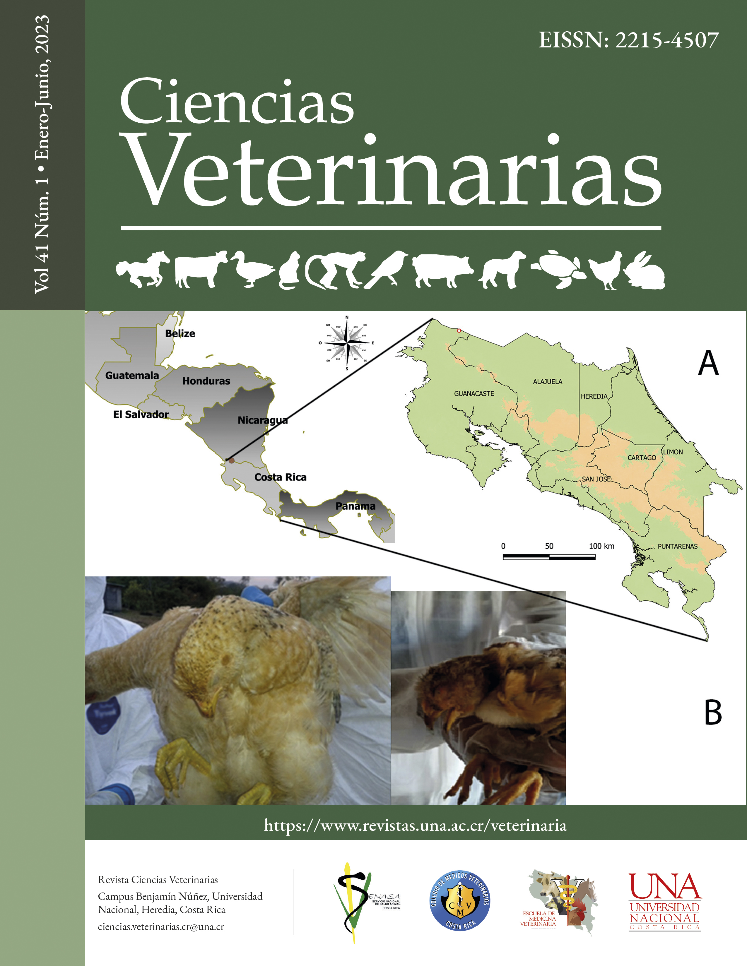 					View Vol. 41 No. 1 (2023): Ciencias Veterinarias (January-June)
				